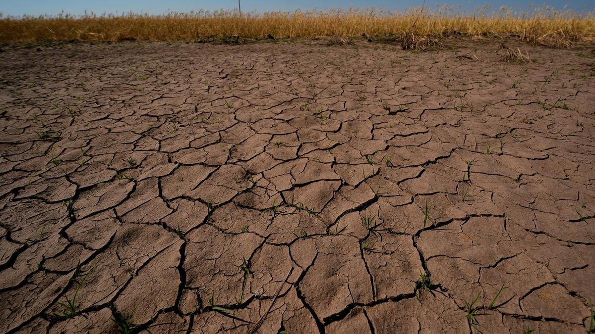 Climate_El_Nino_51669