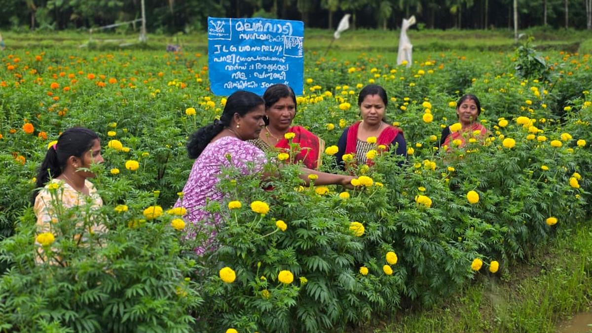 Kudumnbashree20Onam20farm
